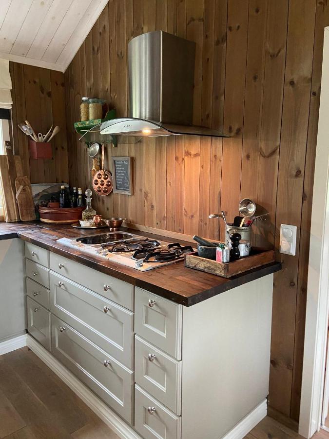 Luxurious, Well-equipped And Modern By The Cross-country Trails * Eggedal