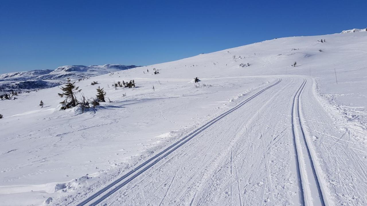 Luxurious, Well-equipped And Modern By The Cross-country Trails *