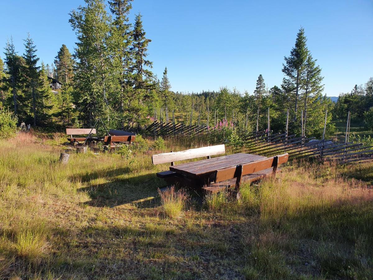 Luxurious, Well-equipped And Modern By The Cross-country Trails Holiday home *