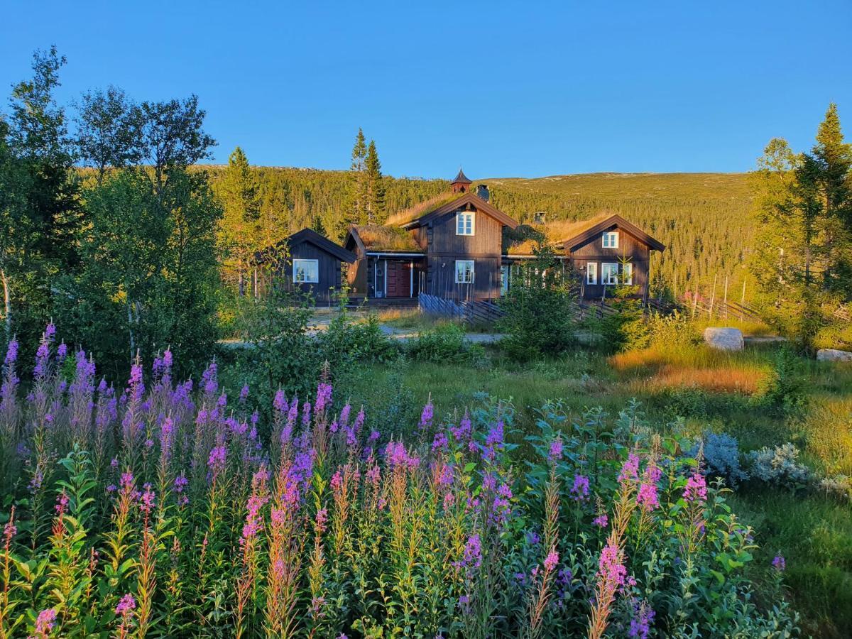 Holiday home Luxurious, Well-equipped And Modern By The Cross-country Trails Eggedal