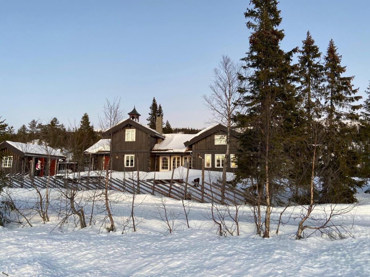 Luxurious, Well-equipped And Modern By The Cross-country Trails Eggedal