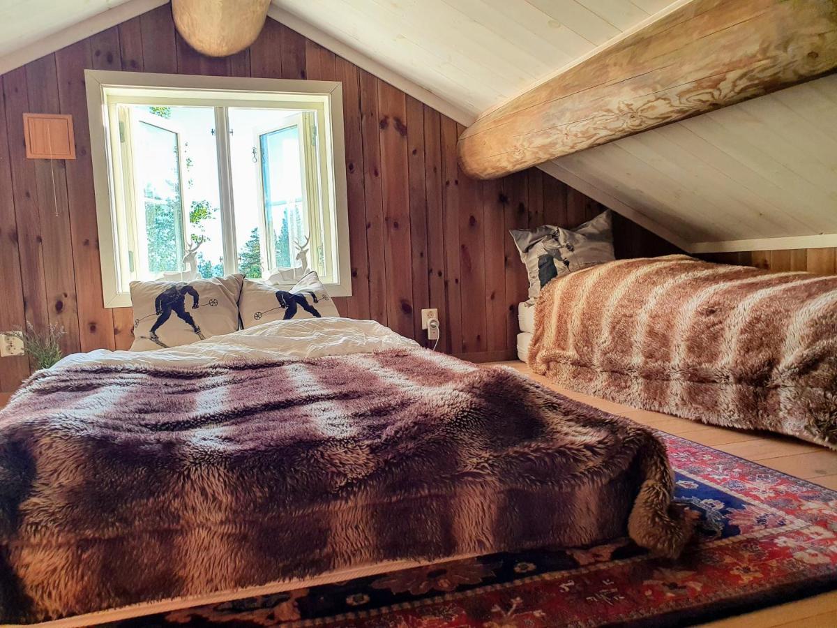 Luxurious, Well-equipped And Modern By The Cross-country Trails Eggedal