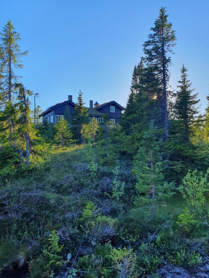 Luxurious, Well-equipped And Modern By The Cross-country Trails