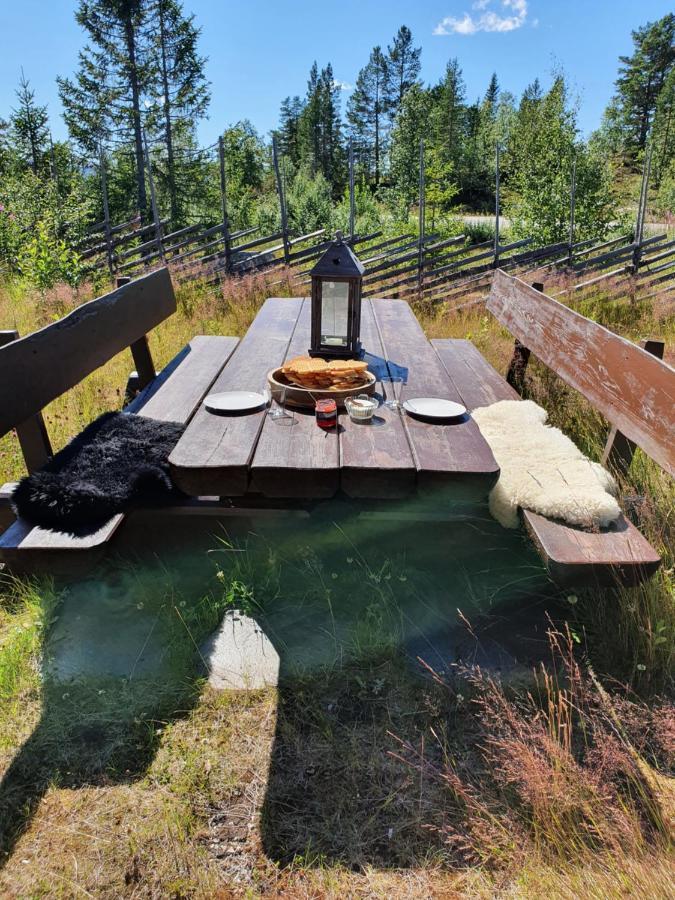 Luxurious, Well-equipped And Modern By The Cross-country Trails Holiday home Eggedal