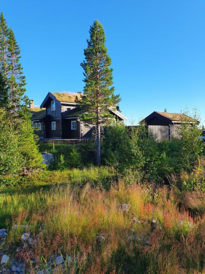 Holiday home Luxurious, Well-equipped And Modern By The Cross-country Trails