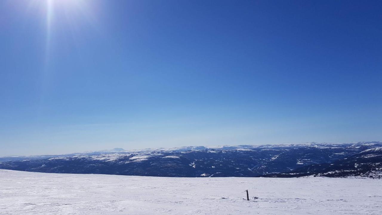 Luxurious, Well-equipped And Modern By The Cross-country Trails * Eggedal