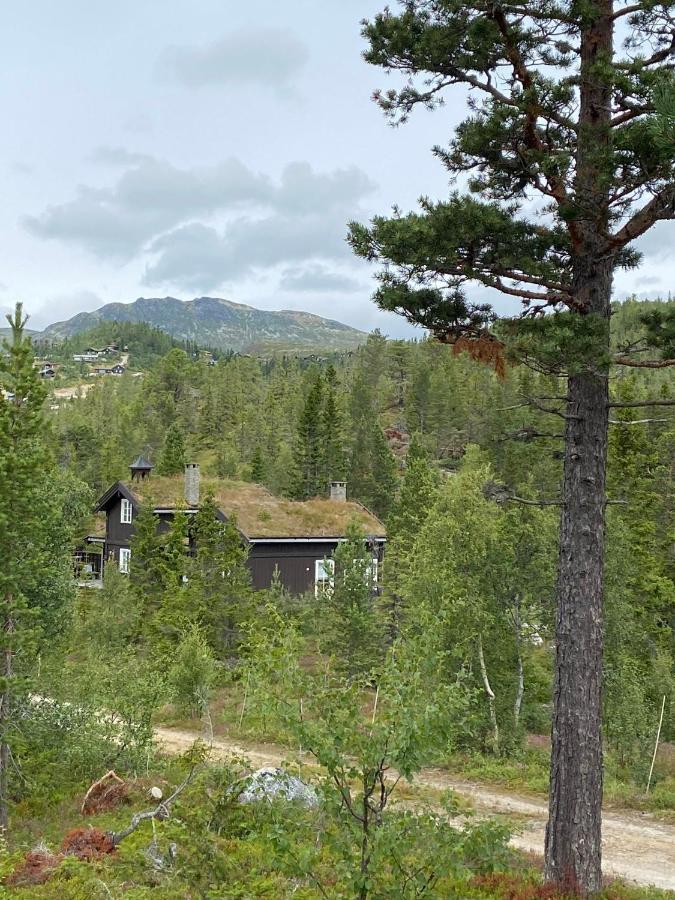 Luxurious, Well-equipped And Modern By The Cross-country Trails