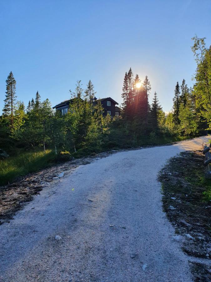 Luxurious, Well-equipped And Modern By The Cross-country Trails